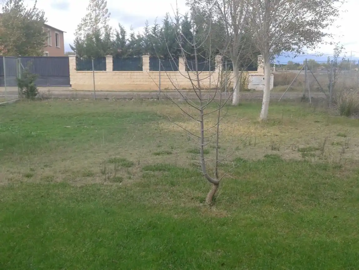 Terreno en venta en La Pedraja de Portillo 