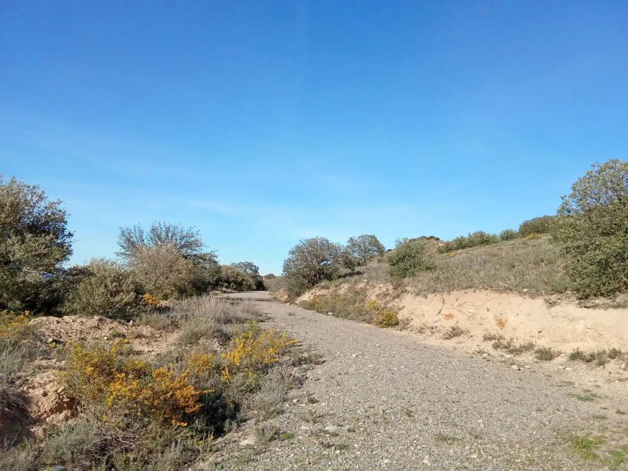 Terreno en venta en Alfántega