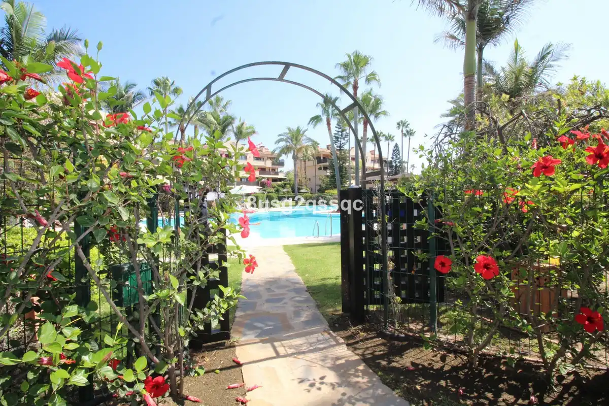 Jardí de Àtic en venda en Estepona amb Terrassa