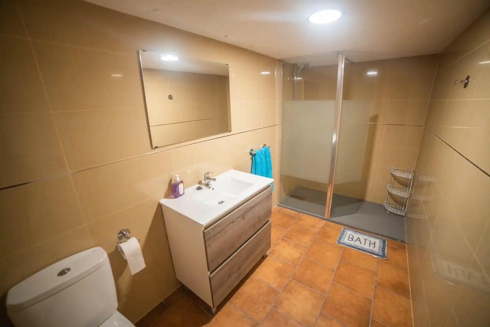 Baño de Casa o chalet en venta en Padul