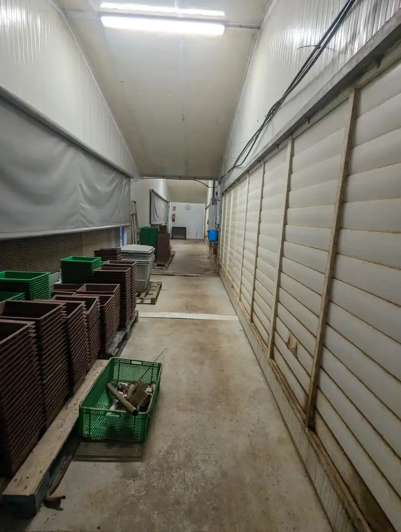 Gewerbefläche zum Verkauf in Zúñiga, imagen 19