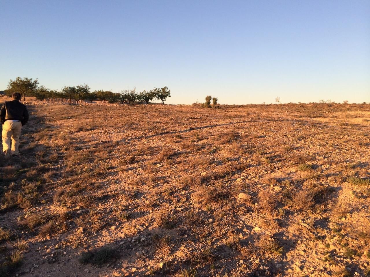 Land for sale in  Murcia Capital