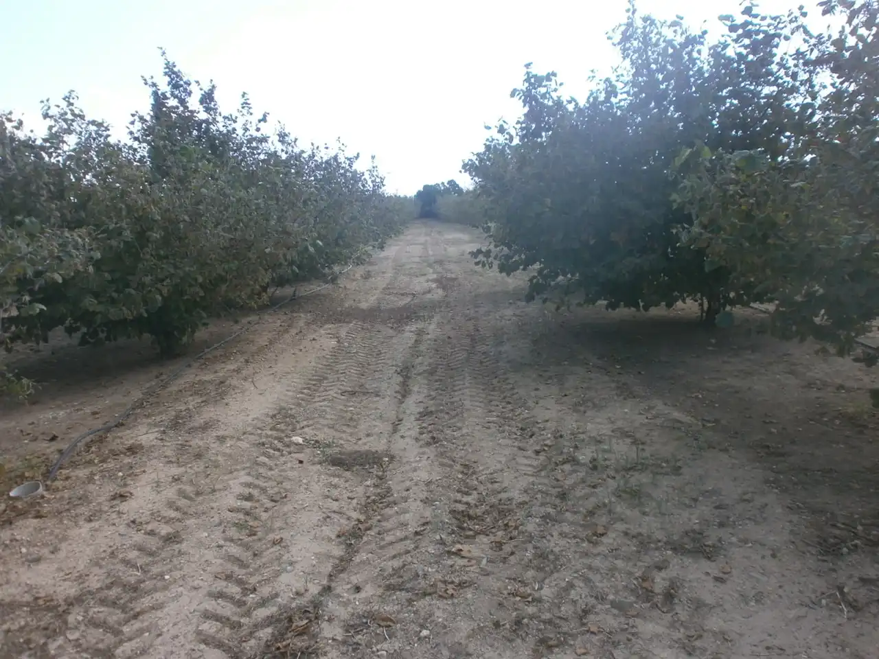 Rural land for sale in Constantí, imagen 12