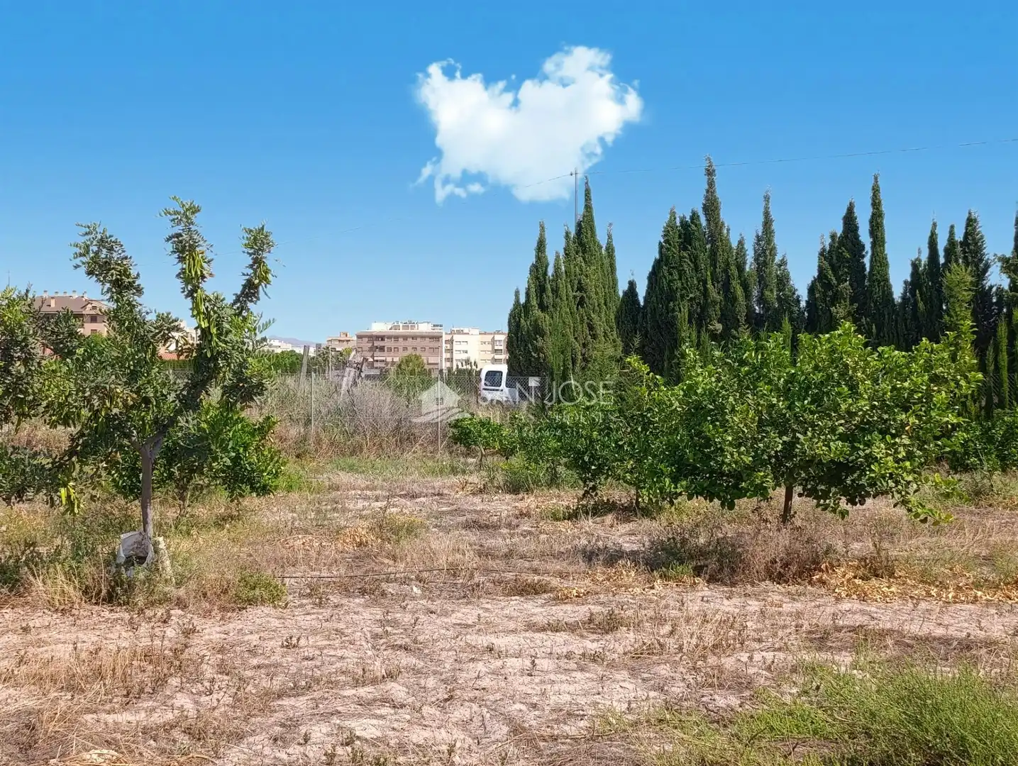 Rural land for sale in Novelda, imagen 2