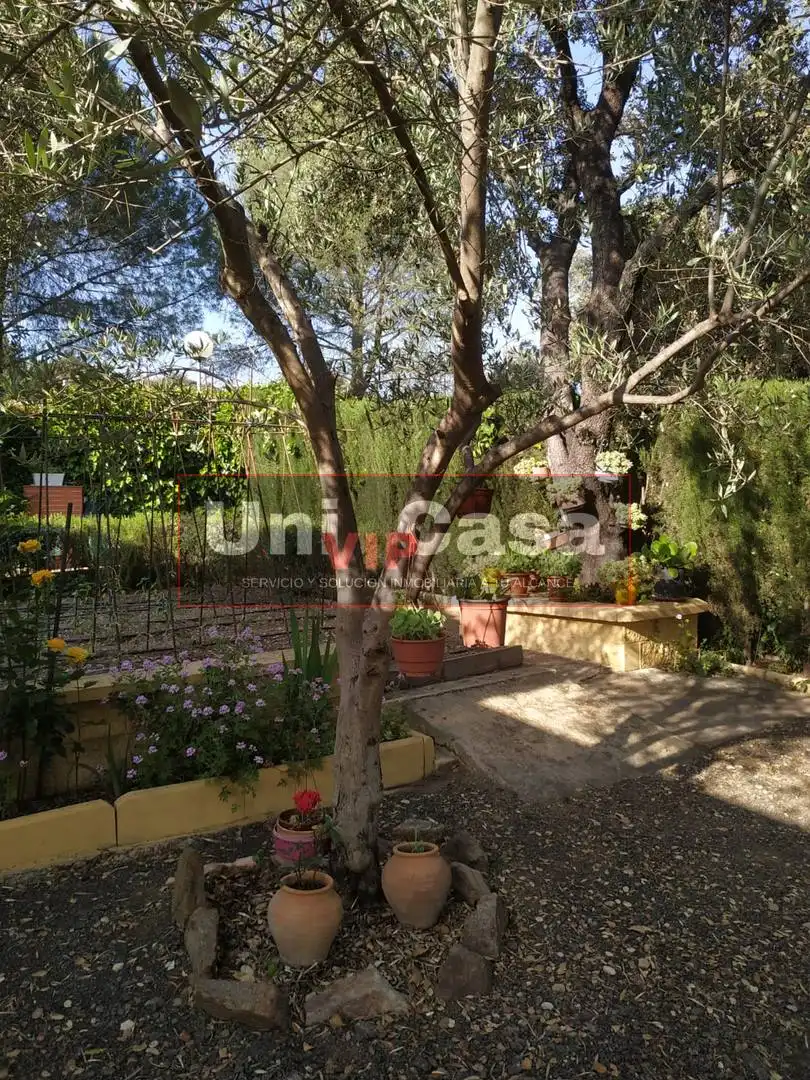 Garden of Country homes for sale in Villaharta  with Air Conditioner, Private garden and Swimming Pool