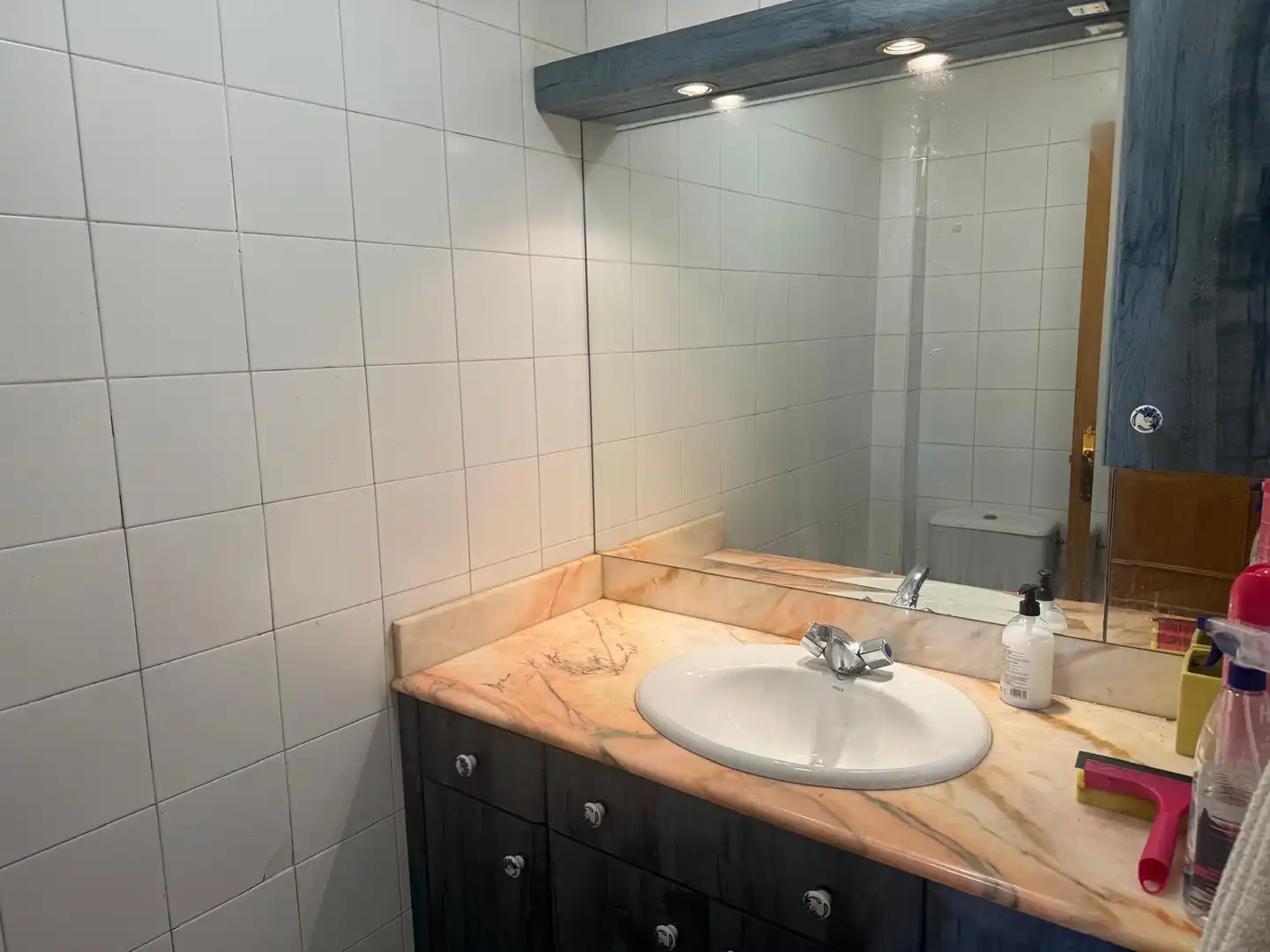 Bathroom of Detached homes for sale in Sariegos  with Heating, Private garden and Community pool