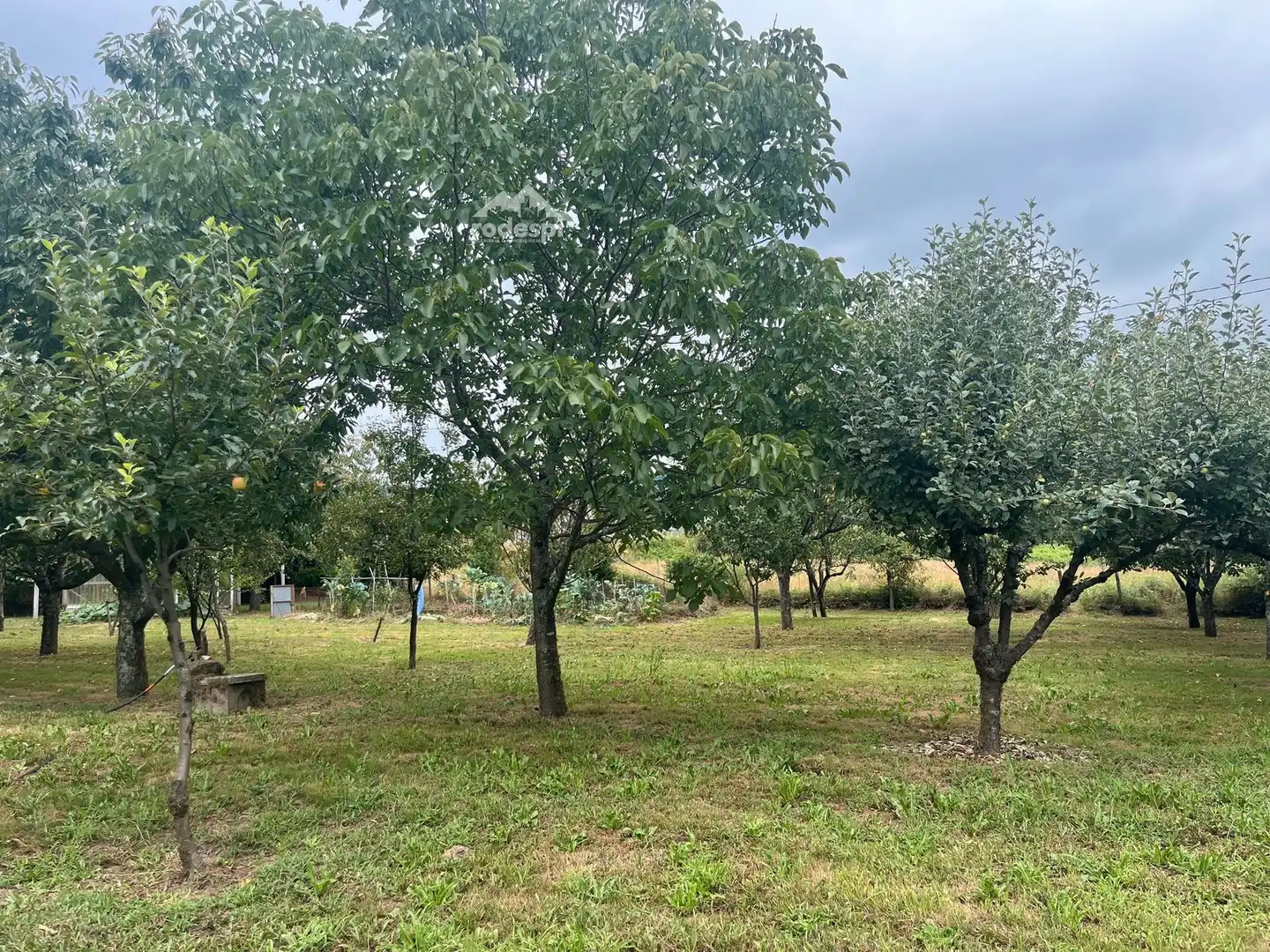 Rural land for sale in Covelo, imagen 27