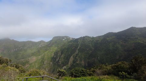 Photo 2 of Houses for rent in Carretera las Carboneras, Punta del Hidalgo, San Cristóbal de la Laguna