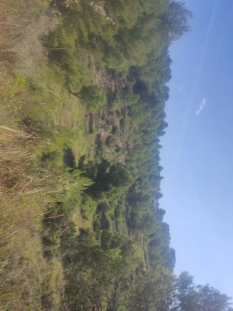 Rural land for sale in Gandesa, imagen 21