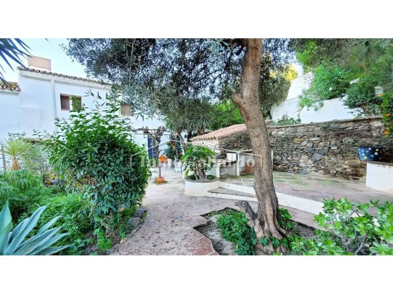 Vista exterior de Casa o chalet en venta en Macharaviaya con Jardín privado y Terraza