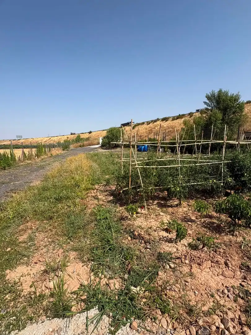 Terreno rústico en venta en La Portalada - Varea, imagen 19