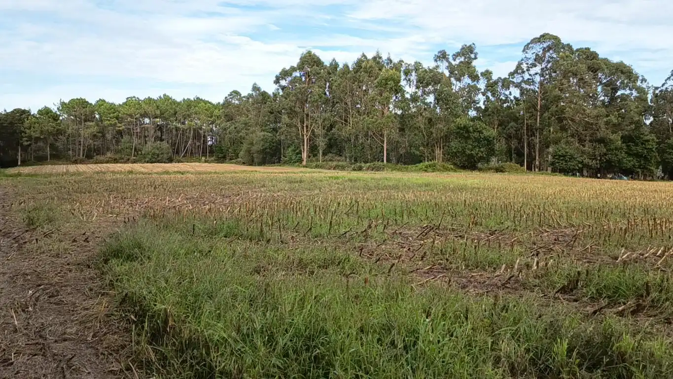 Terreno rústico en venta en Aldea Cabañas, imagen 18
