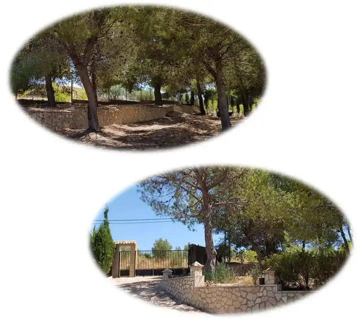 Villa con terrazza in vendita a CV-802, imagen 10