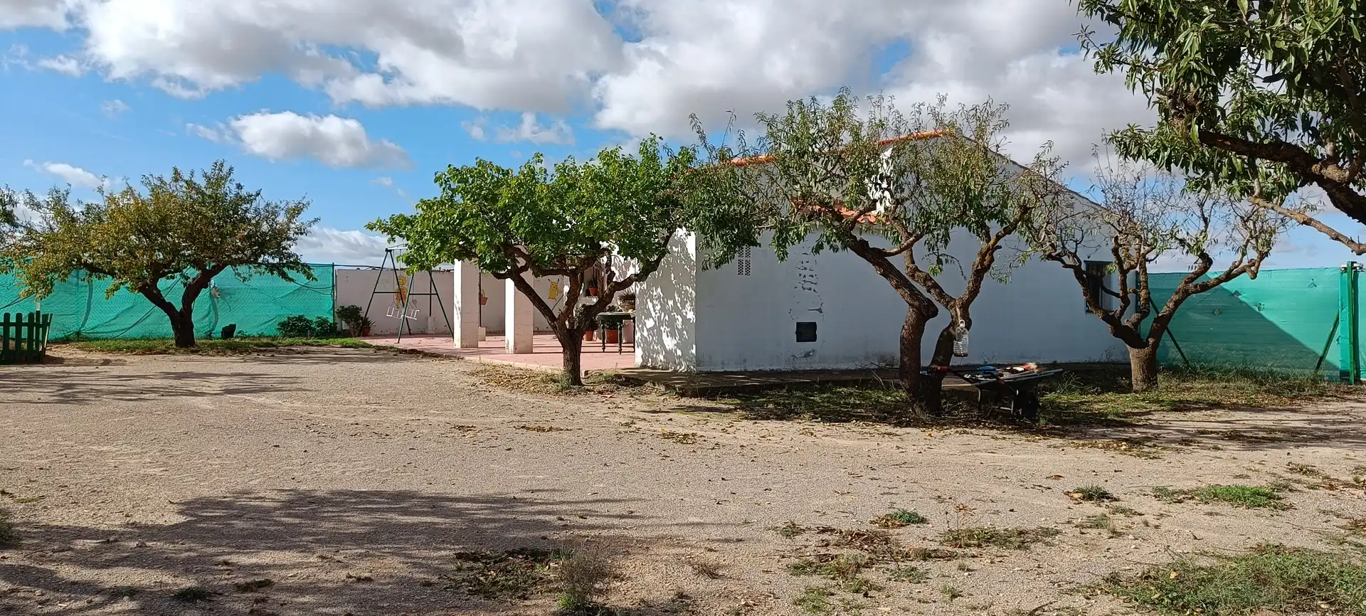 Vista exterior de Casa o xalet en venda en Almansa amb Jardí privat