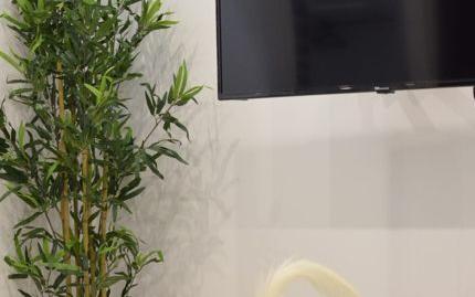 Photo 5 of Flat to rent in Centro, Madrid