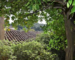 Jardí de Casa o xalet en venda en Galaroza amb Jardí privat