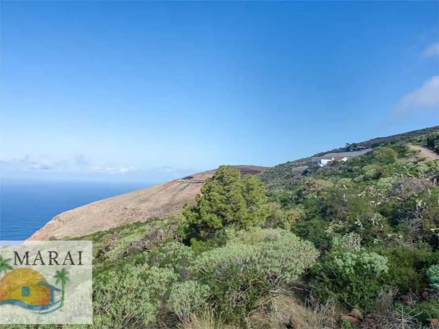 Vista exterior de Terreno en venta en Puntagorda