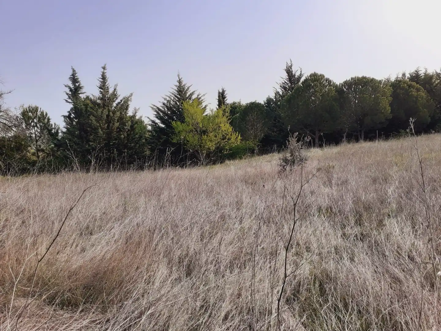Terreni e lotti in vendita a Área Rural, imagen 3