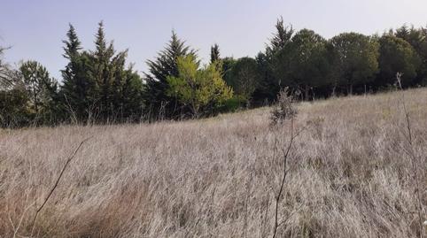 Foto 3 de Residencial en venda a Área Rural, Zamora