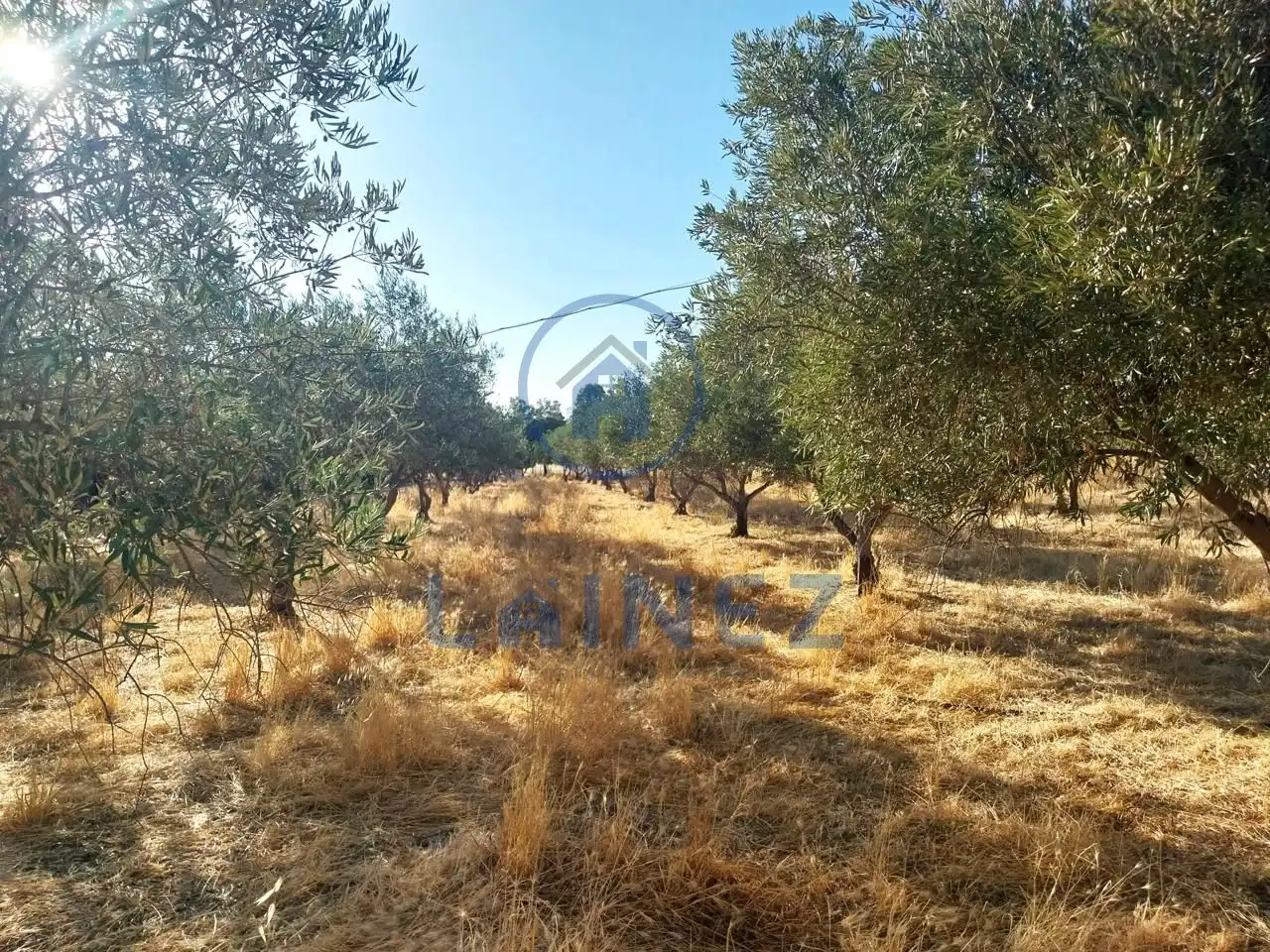 Nave industrial en venta en Peñarroya-Pueblonuevo