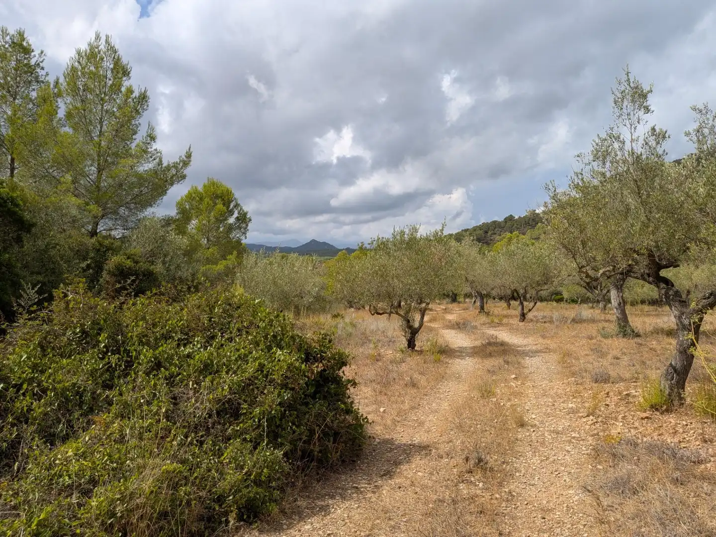 Maison rustique à vendre à Camino  Tivissa 51, imagen 46