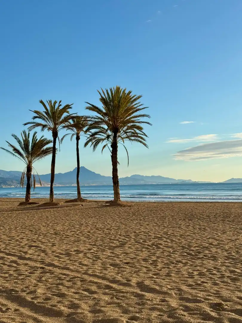 Exterior view of Apartments for sale in Alicante / Alacant  with Air Conditioner, Private garden and Storage room