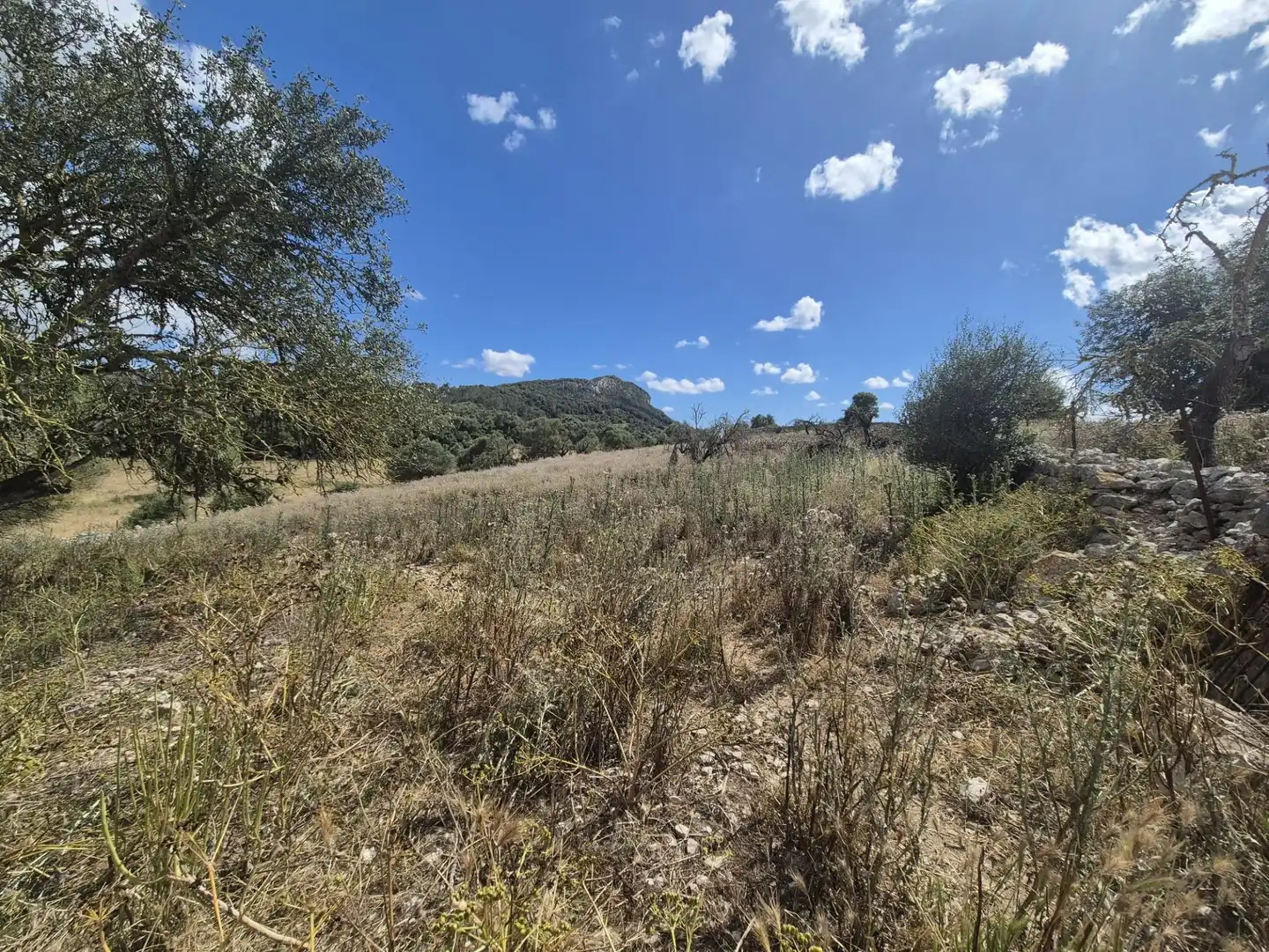 Casa rústica con jardín en venta en Sineu, imagen 12