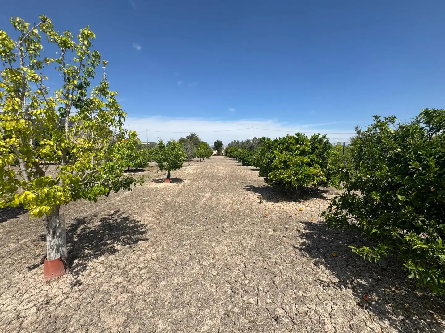 Casa en venta en Callosa de Segura, imagen 14