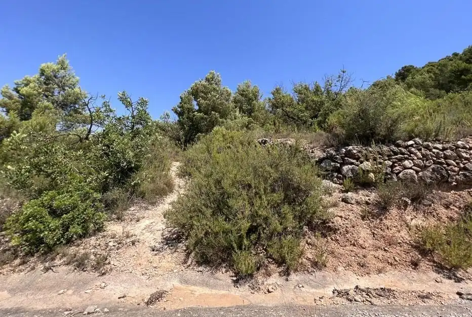 Rural land for sale in Borriol, imagen 5