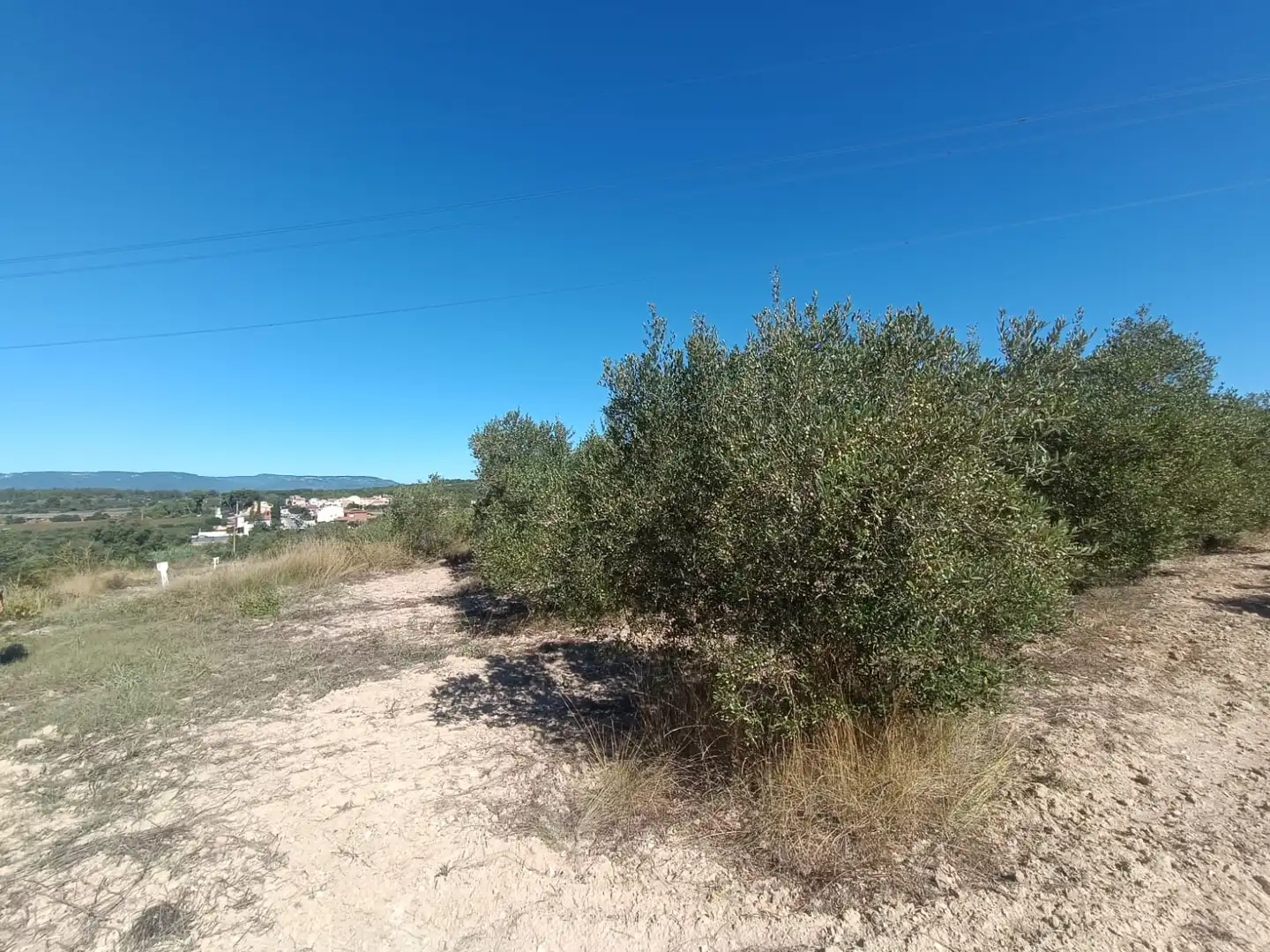 Terreny rústic en venda a La Secuita, imagen 12