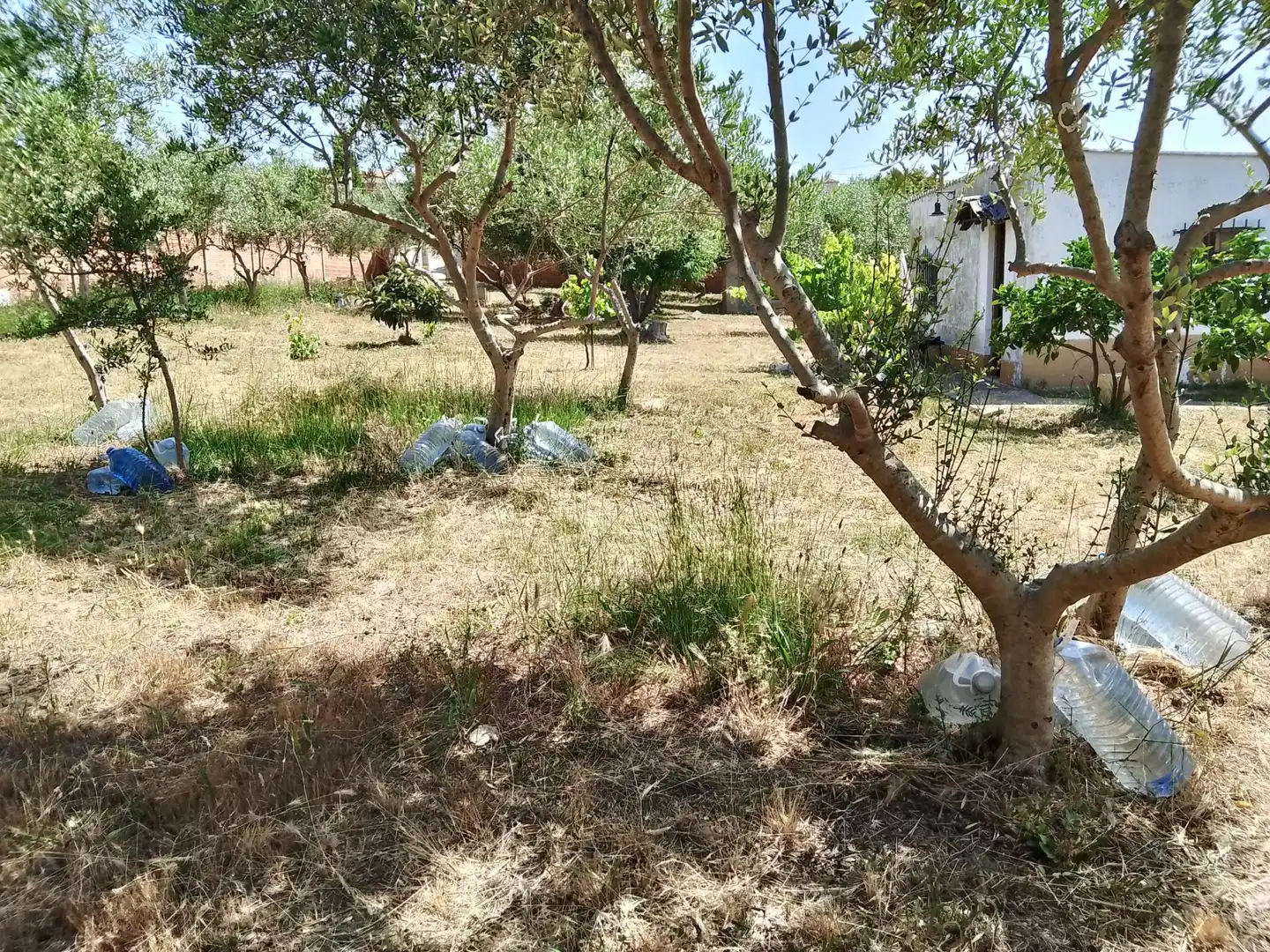 Residencial en venta en Sant Llorenç d'Hortons