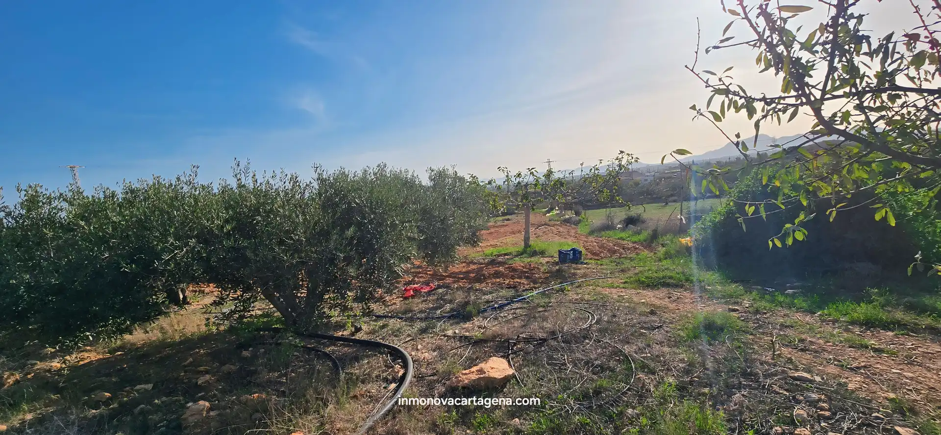 Finca rústica en venda en Cartagena amb Jardí privat