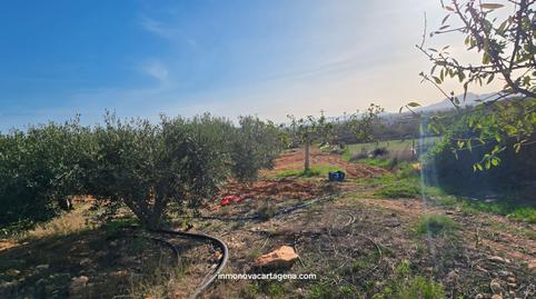 Foto 5 de Finca rústica en venda a La Magdalena - Molinos Marfagones, Murcia