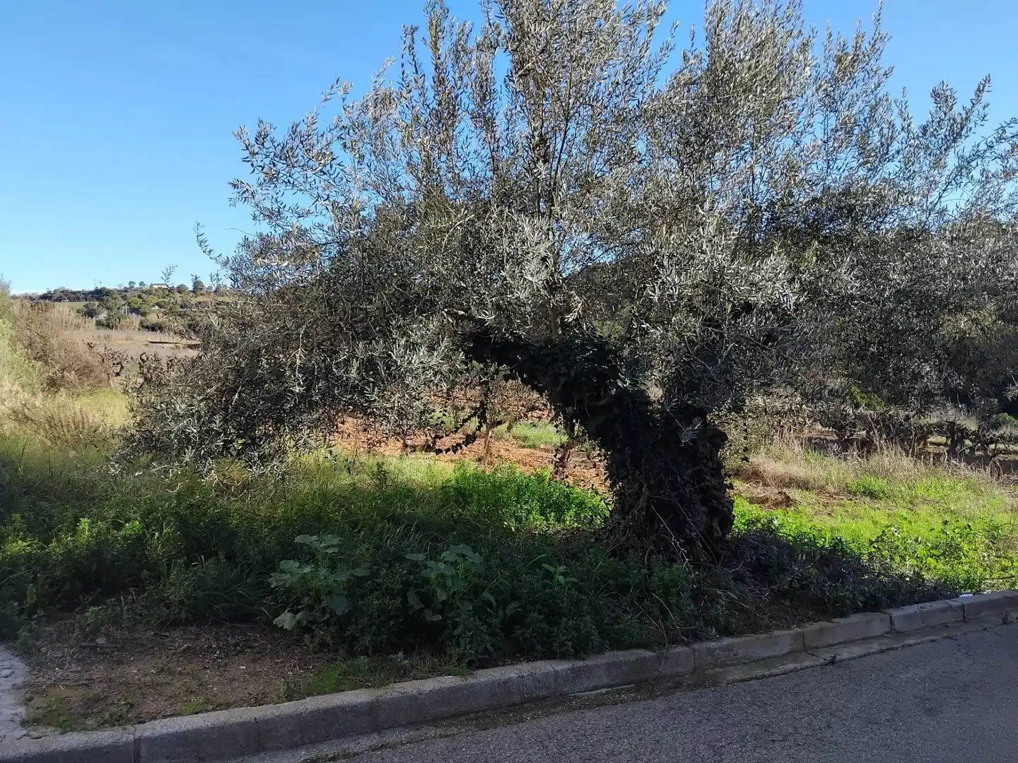 Residencial en venda a Sant Llorenç d'Hortons