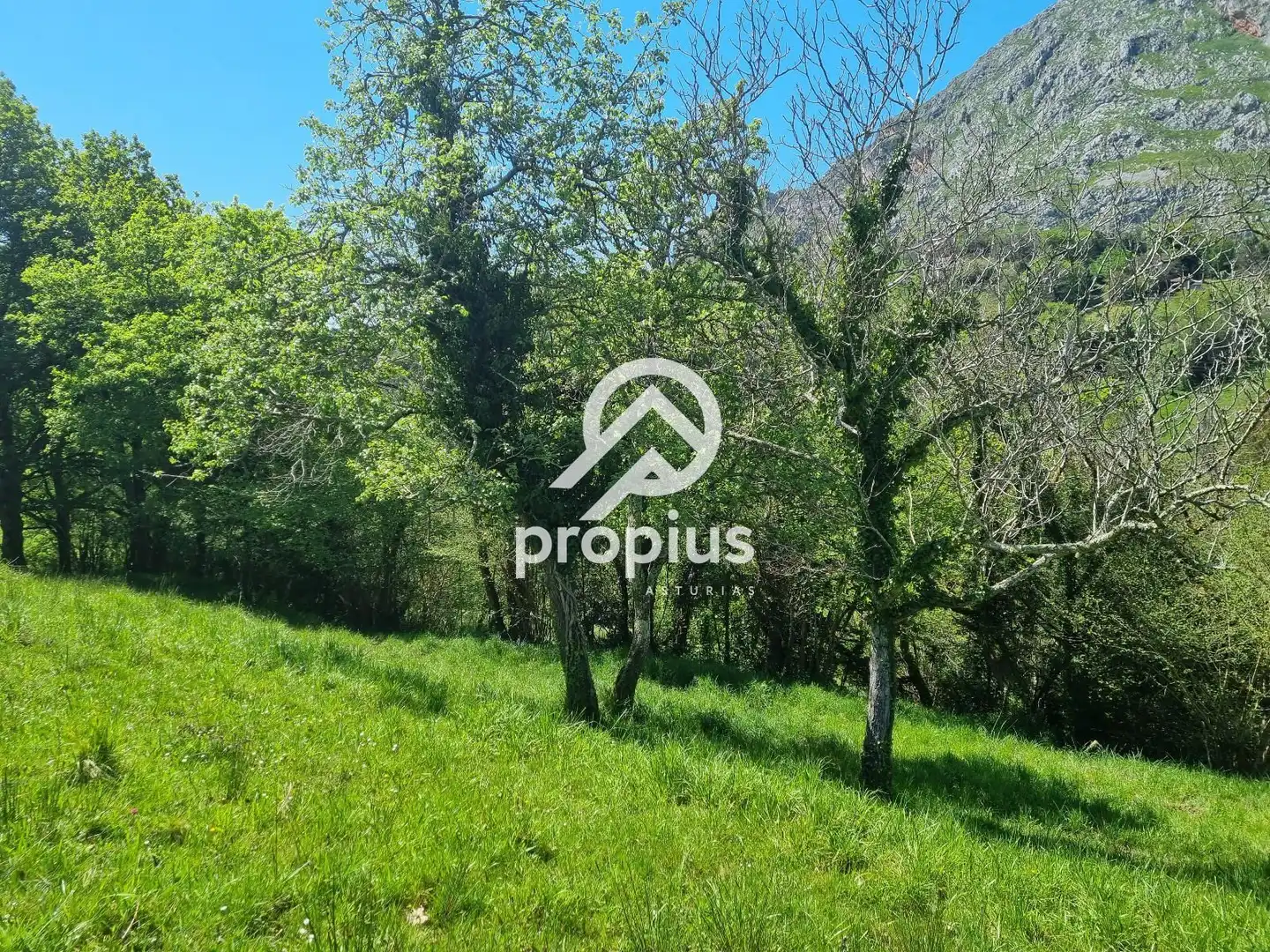 Terreno residencial en venta en EL COLLADO DE SANTO TOMÁS, imagen 5