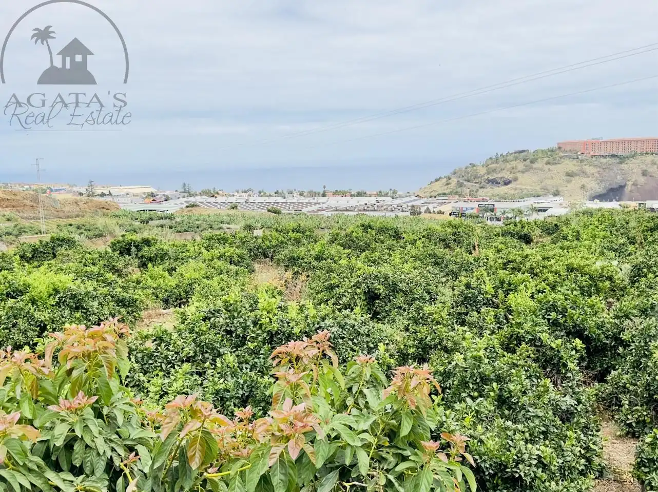 Finca rústica en venta en La Orotava con Jardín privado y Terraza
