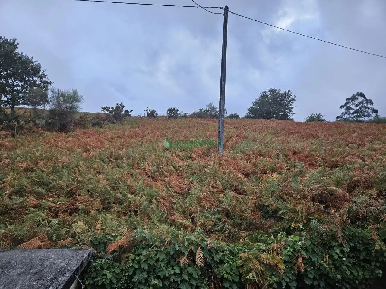 Casa o xalet en venda en Covelo amb Calefacció, Jardí privat i Terrassa