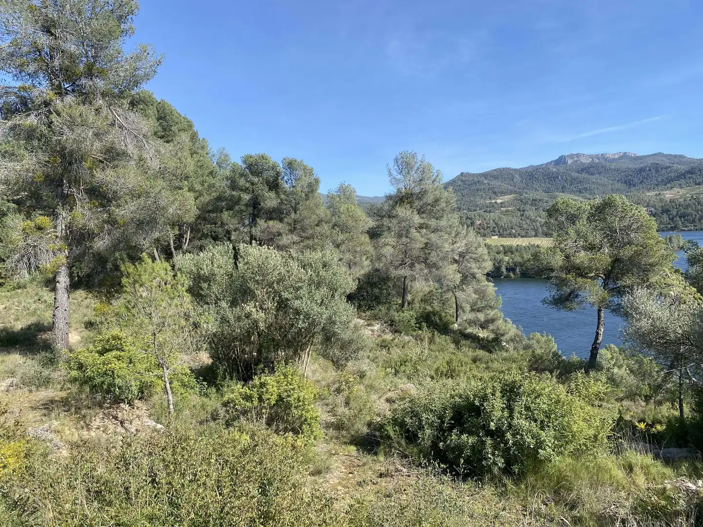 Residencial en venta en Els Guiamets