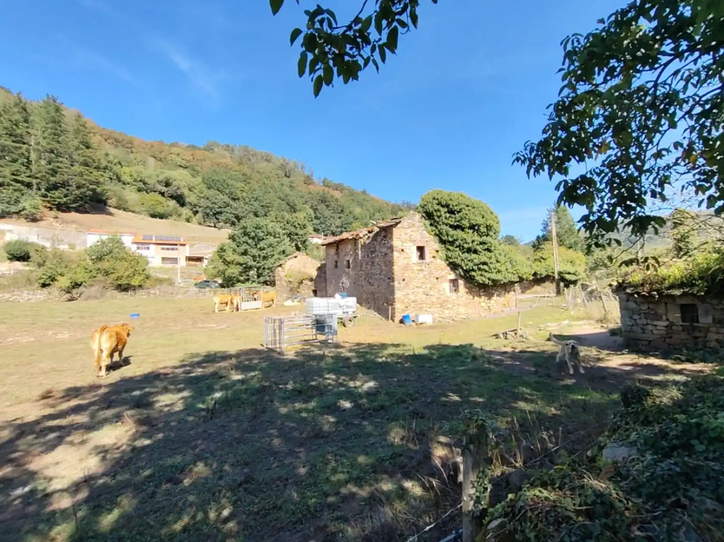 Maison avec jardin à vendre à San Juán de Raicedo - BO SAN JUAN RAICEDO, imagen 4