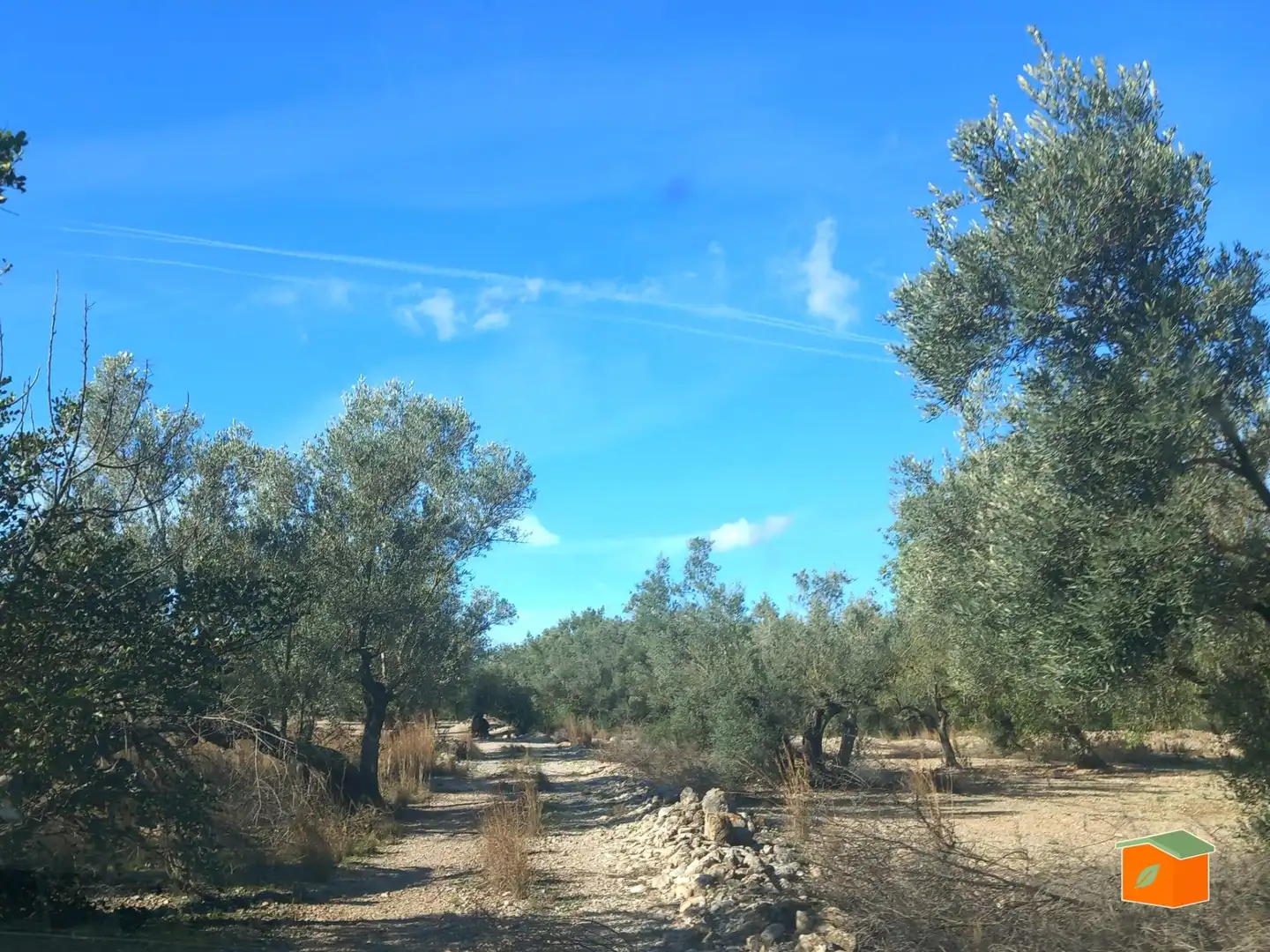 Terreno rustico in vendita a Mas de Barberans, imagen 6