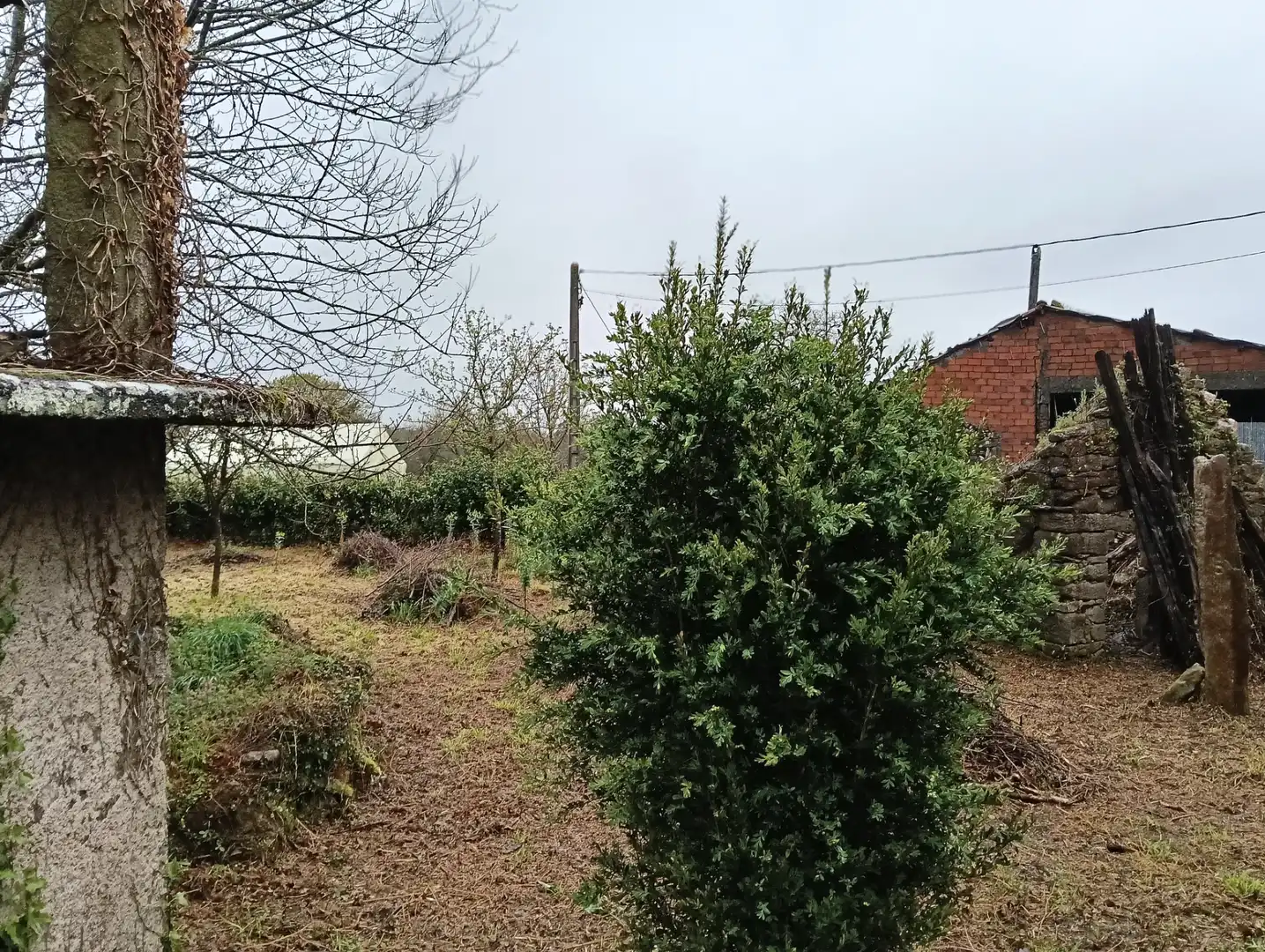 Adossat amb jardí en venda a Curtis, imagen 27