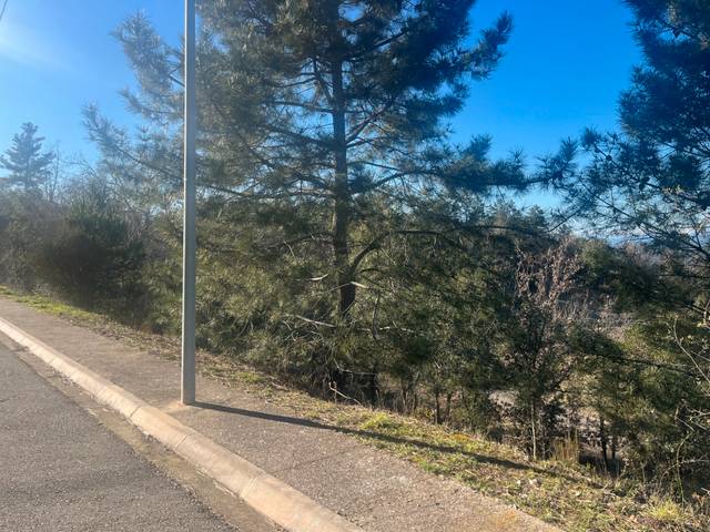 Terreno residencial en Venta en Carrer de la Ribera d'Ebre, 11 en Bescanó