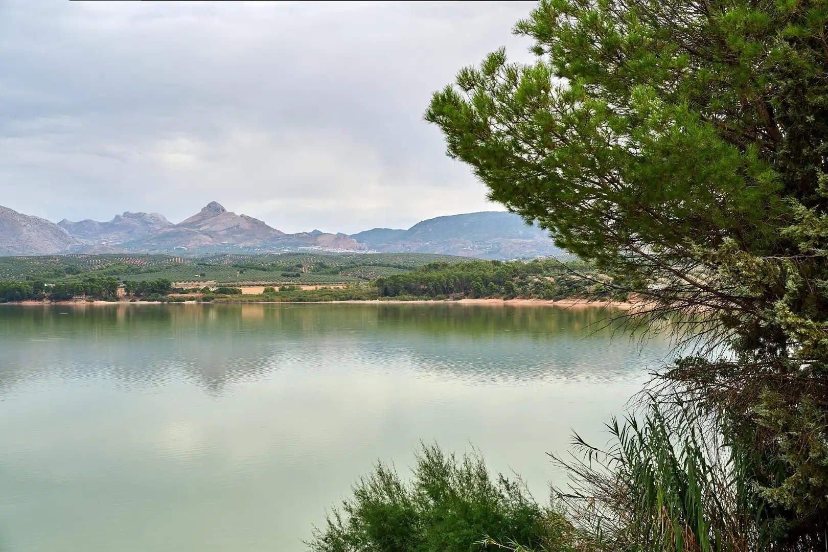 Casa o xalet en venda en Pantano de Cubillas