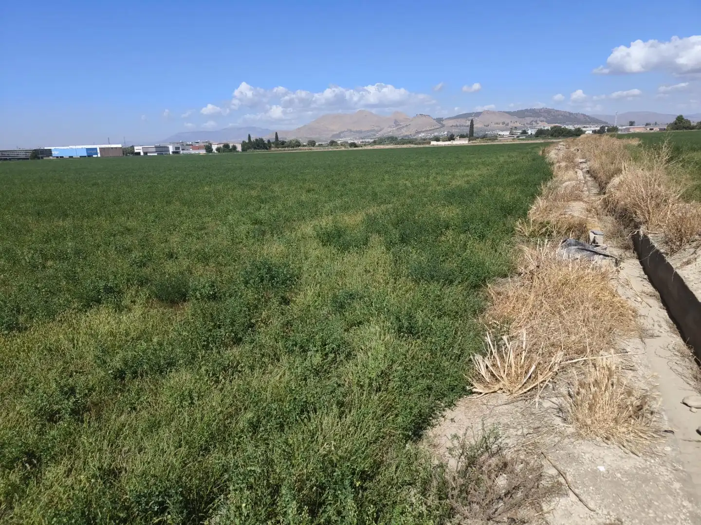 Industrial land for sale in Maracena, Granada