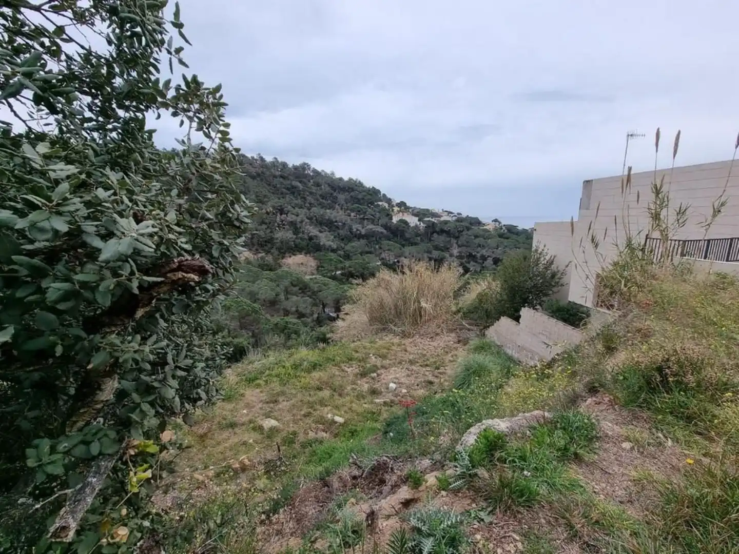 Terrenos y solares en venta en Serra Brava, imagen 30