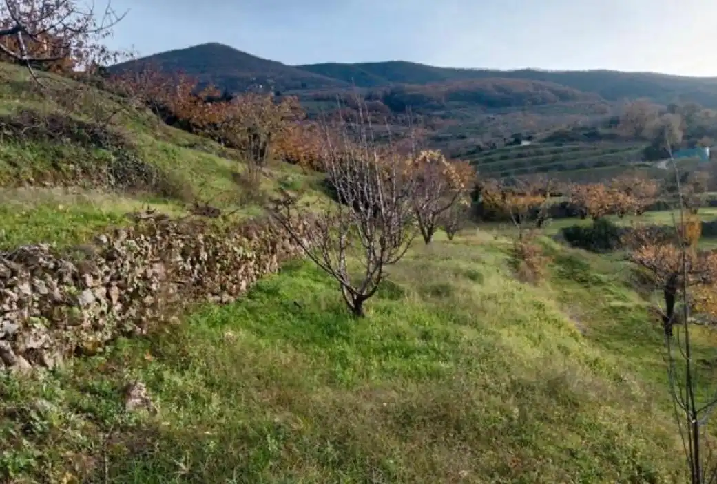 Terreni e lotti in vendita a Arroyomolinos de la Vera, imagen 4