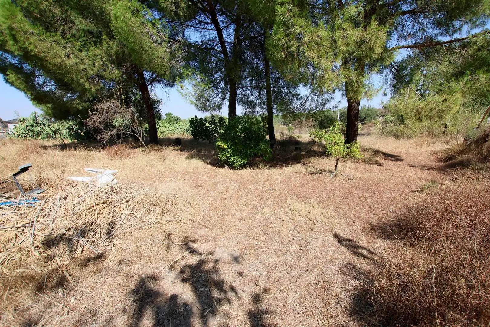 Finca rústica en venda en Badajoz amb Traster i Piscina