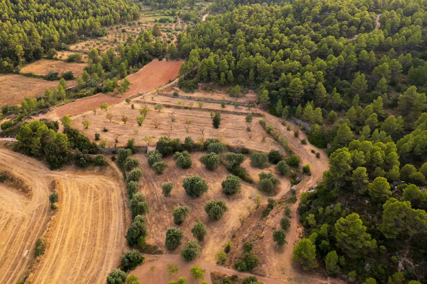 Terreni e lotti in vendita a Lledó, imagen 16