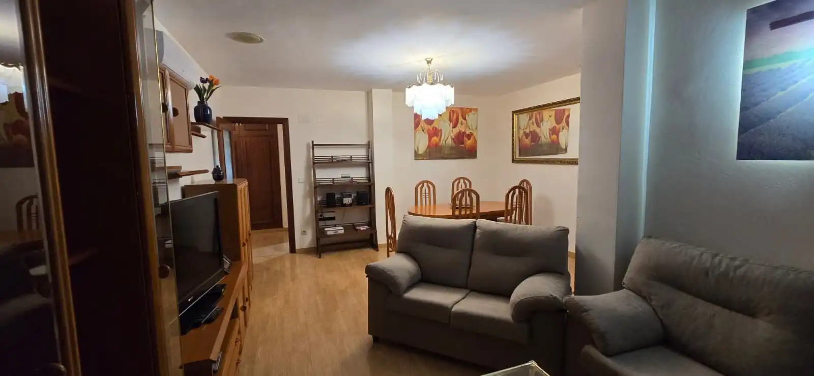 Living room of Flat for sale in Argamasilla de Calatrava  with Air Conditioner, Terrace and Furnished