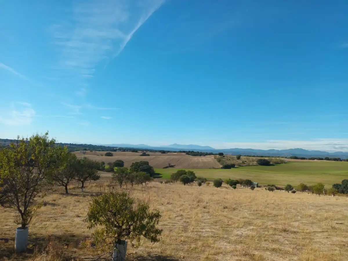 Finca rústica en venta en Brunete